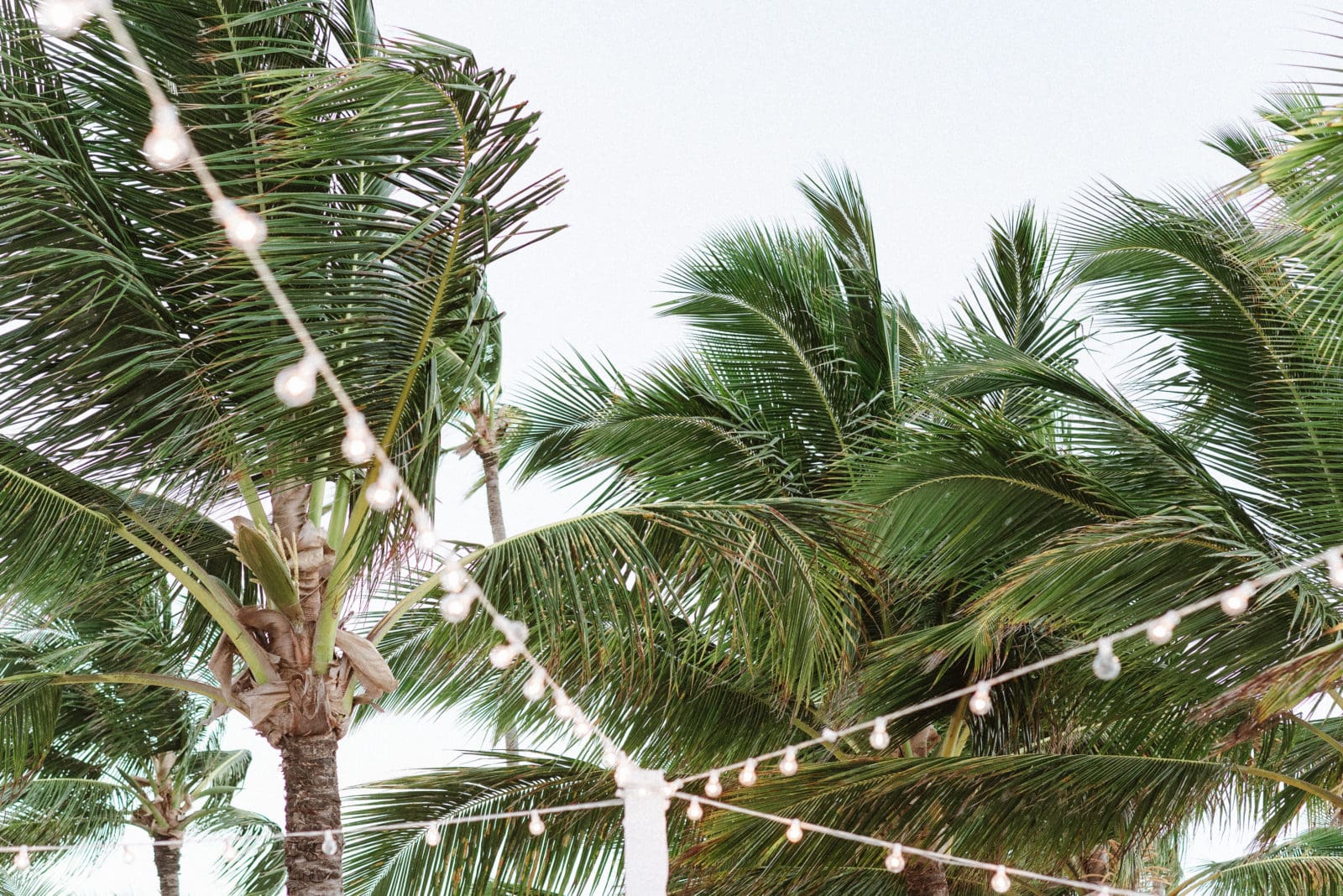 majestic-elegance-punta-cana-dominican-republic-by-suess-moments-wedding-photographer