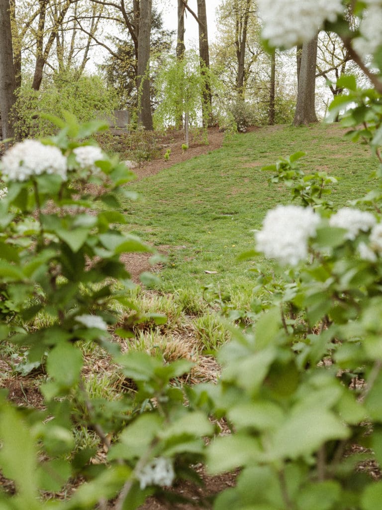 branch-brook-park-new-jersey-engagement-photos-springtime-by-suess-moments-nj-photographer
