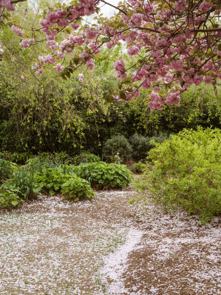 branch-brook-park-new-jersey-engagement-photos-springtime-by-suess-moments-nj-photographer