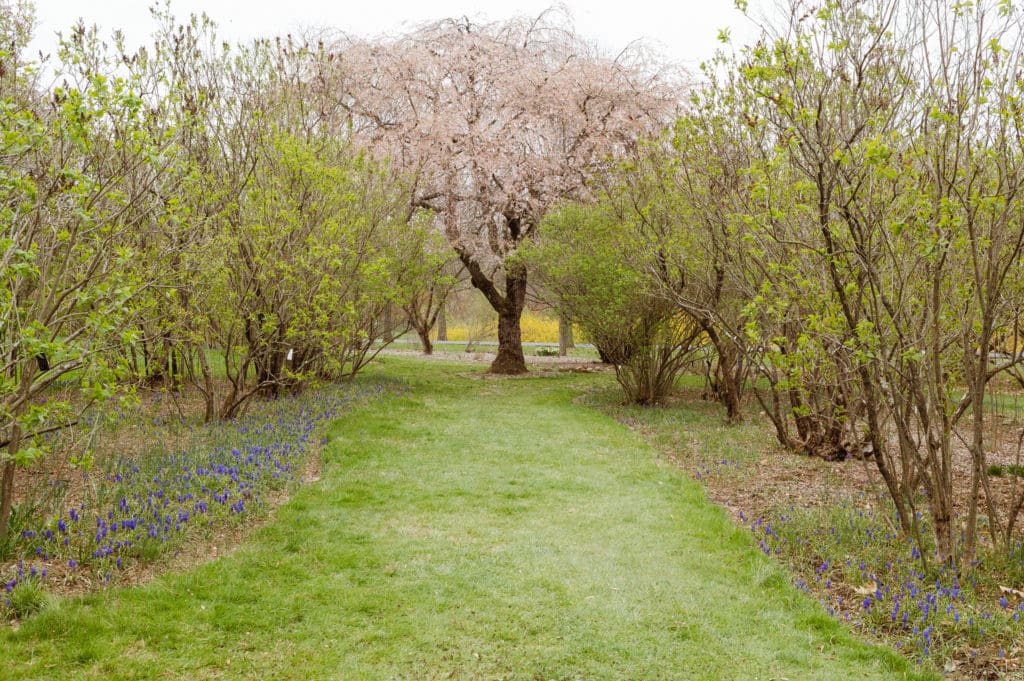 nj-botanical-gardens-springtime-skylands-manor-castle-by-suess-moments-photographer