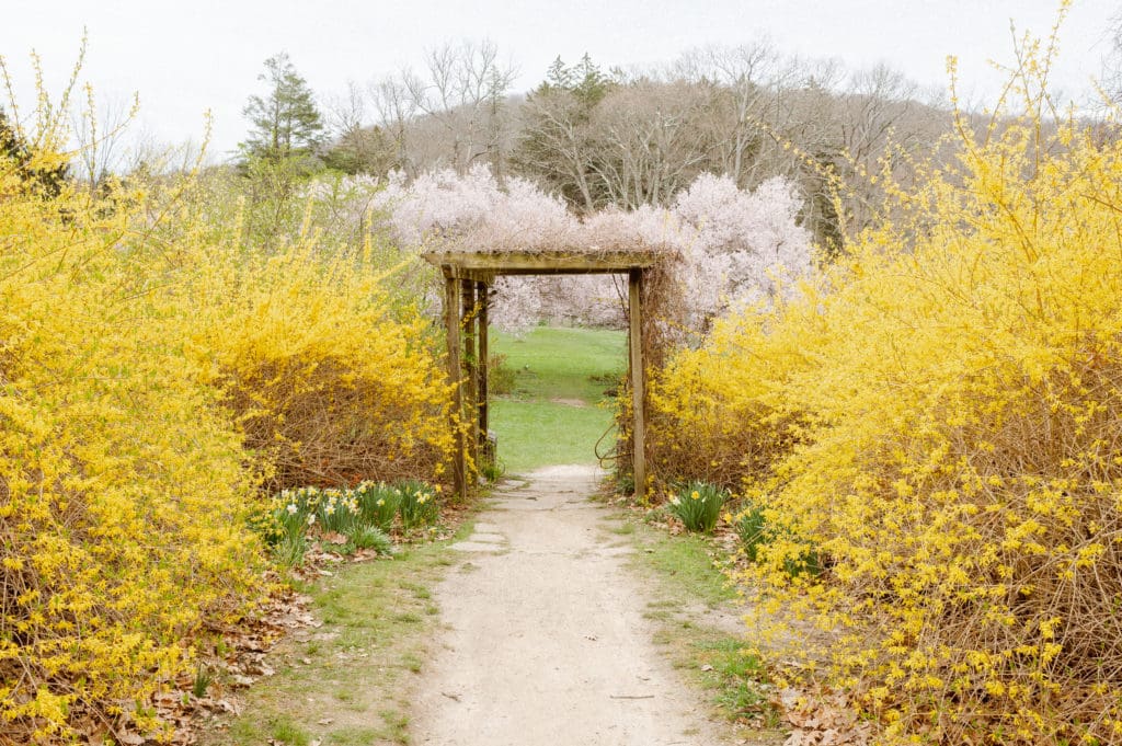 Castle wedding venue at NJ botanical gardens - the skylands manor