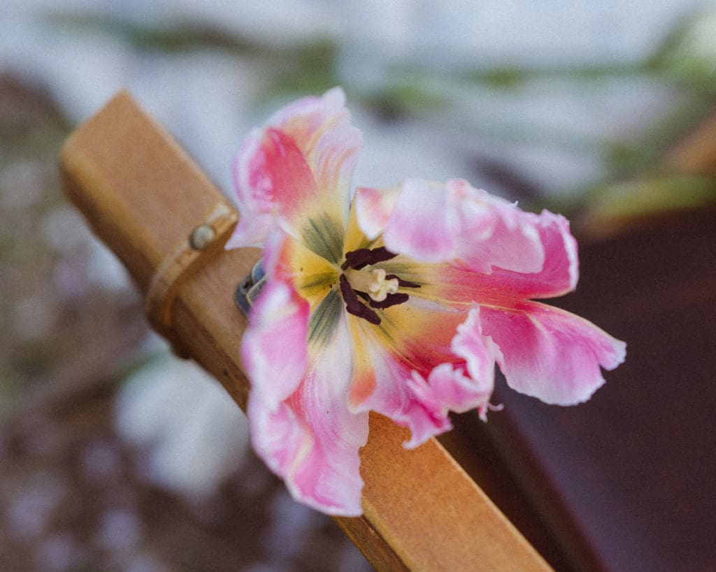 garden-of-edith-floral-design-nj
