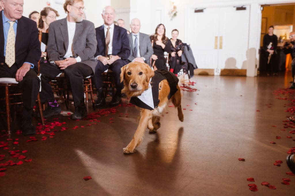 wedding-ceremony-winter-wedding-whitby-castle-suess-moments-wedding-photographer
