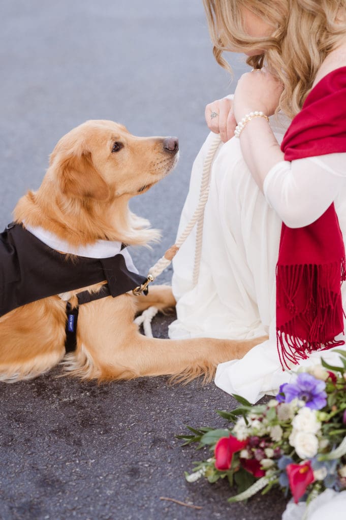 dog-with-bride-on-wedding-day-suess-moments-wedding-photographer