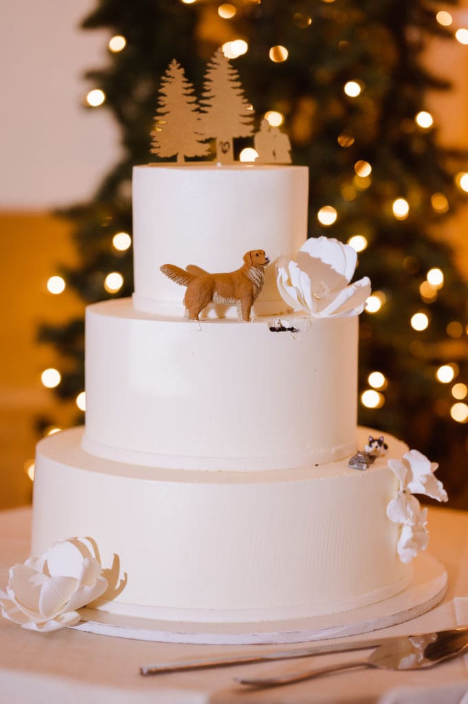 dog-and-cats-on-wedding-cake-suess-moments