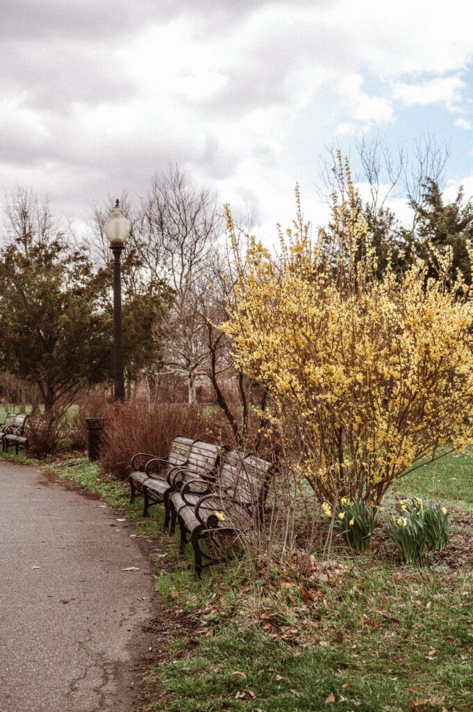 springtime-summer-at-liberty-state-park-nj