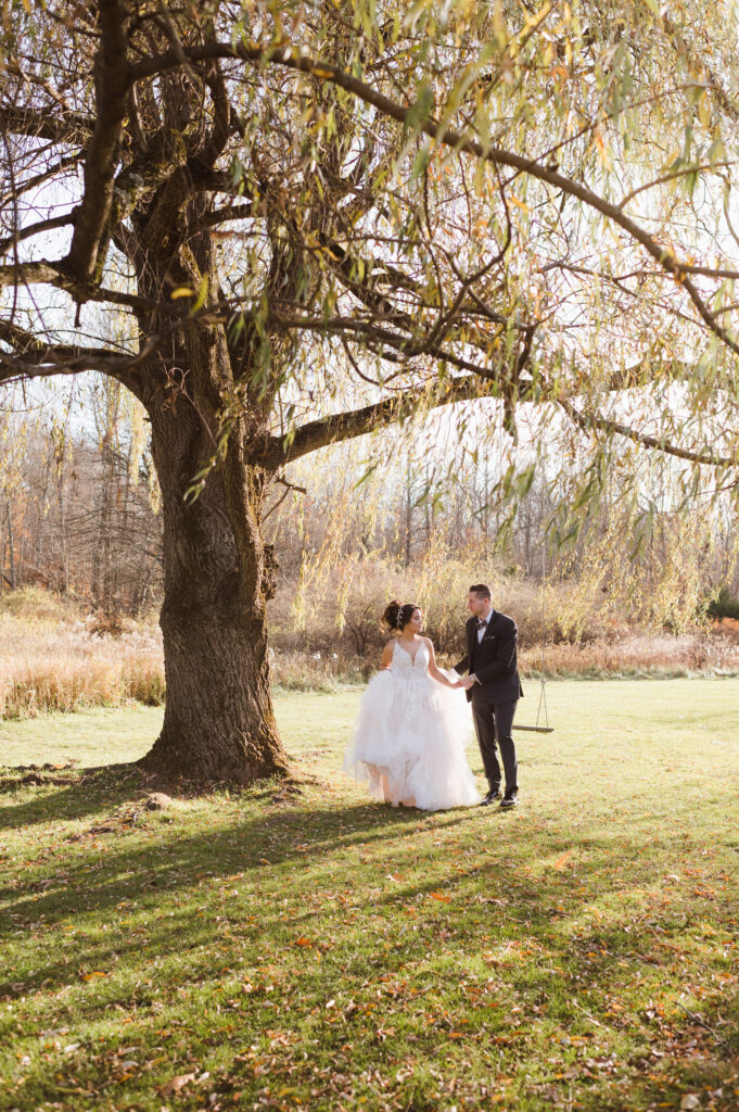 swing-at-perona-farms-for-wedding-photos