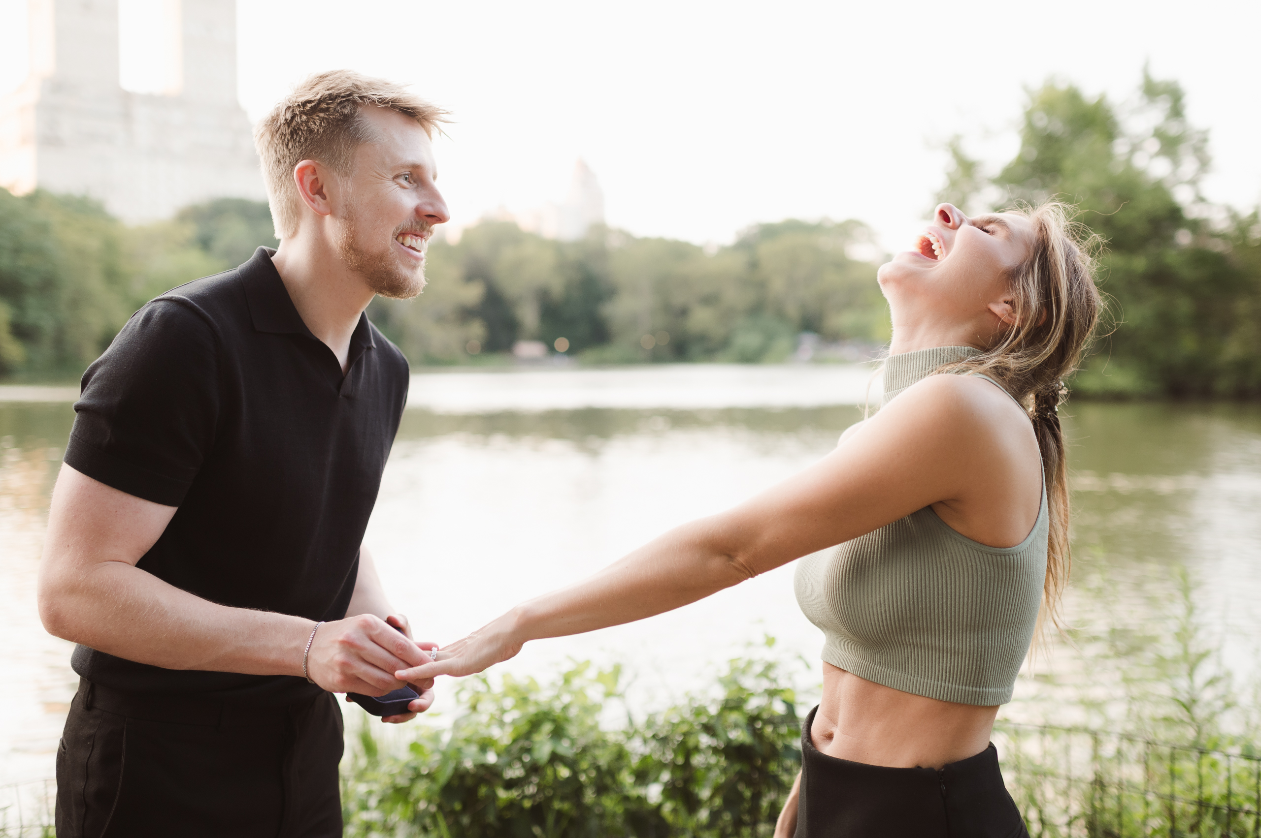 central park proposal