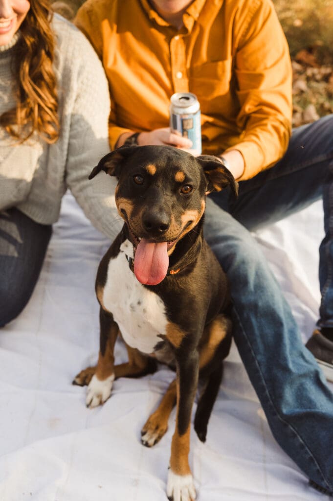duke-island-park-nj-engagement-photos-with-a-dog-by-suess-moments
