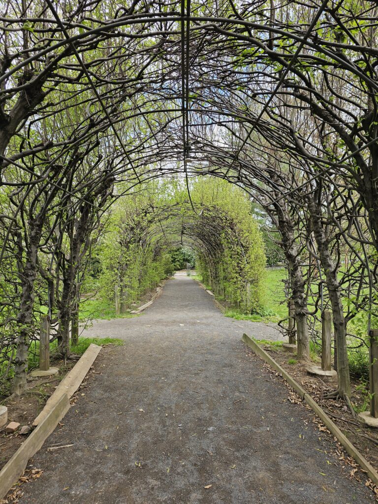 arch way at the snug harbor staten island