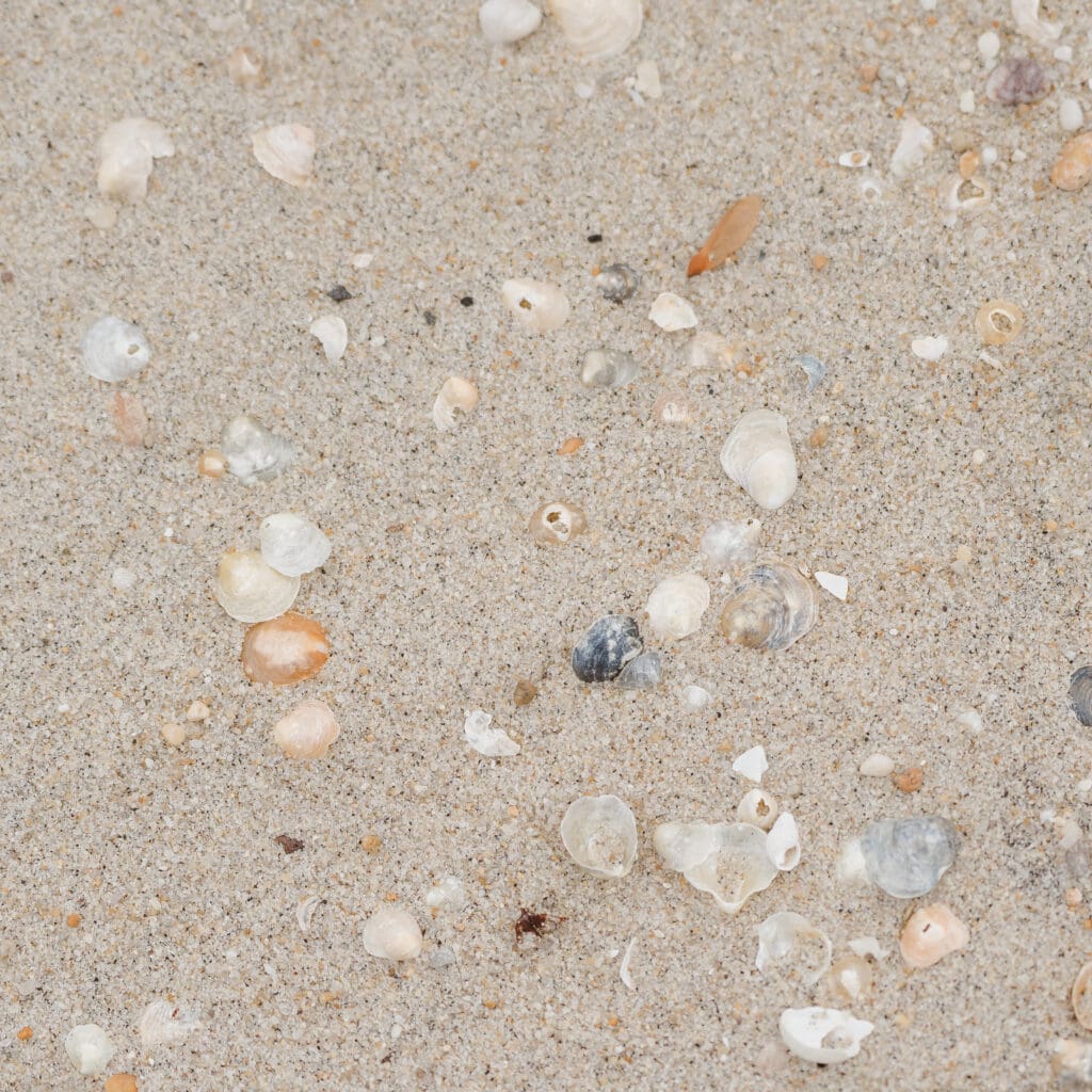 window-on-the-water-nj-wedding-photos-by-suess-moments