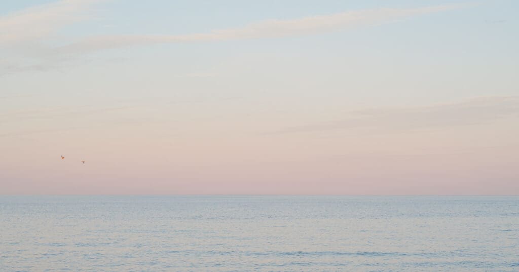 sunset-rooftop-wedding-photos-at-windows-on-the-water-by-suess-moments