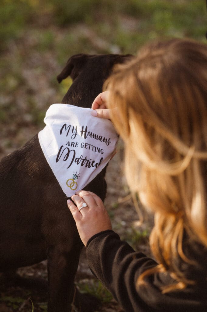 engagement-photos-with-dog-wearing-bandana
