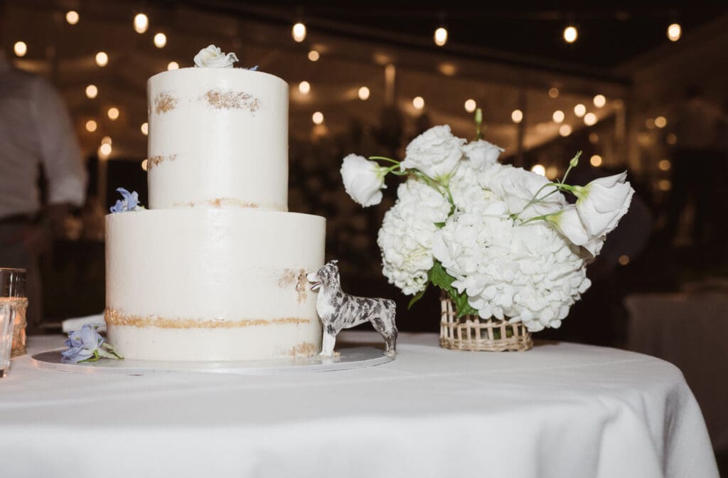 wedding-cake-with-dog-eating-it