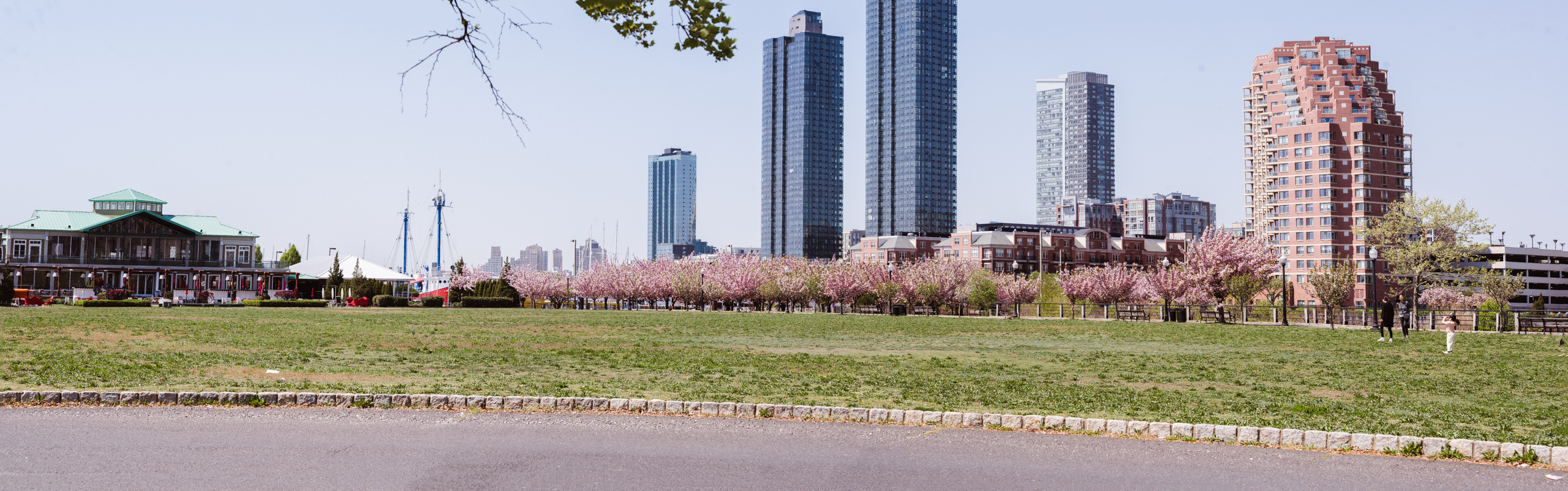 april-cherry-blossom-spring-engagement-photos-at-liberty-state-park-nj-by-suess-moments