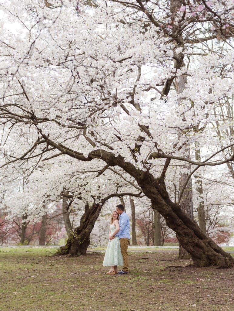 new-jersey-engagement-photos-with-cherry-blossoms-at-spring-branch-brook-park-suess-moments