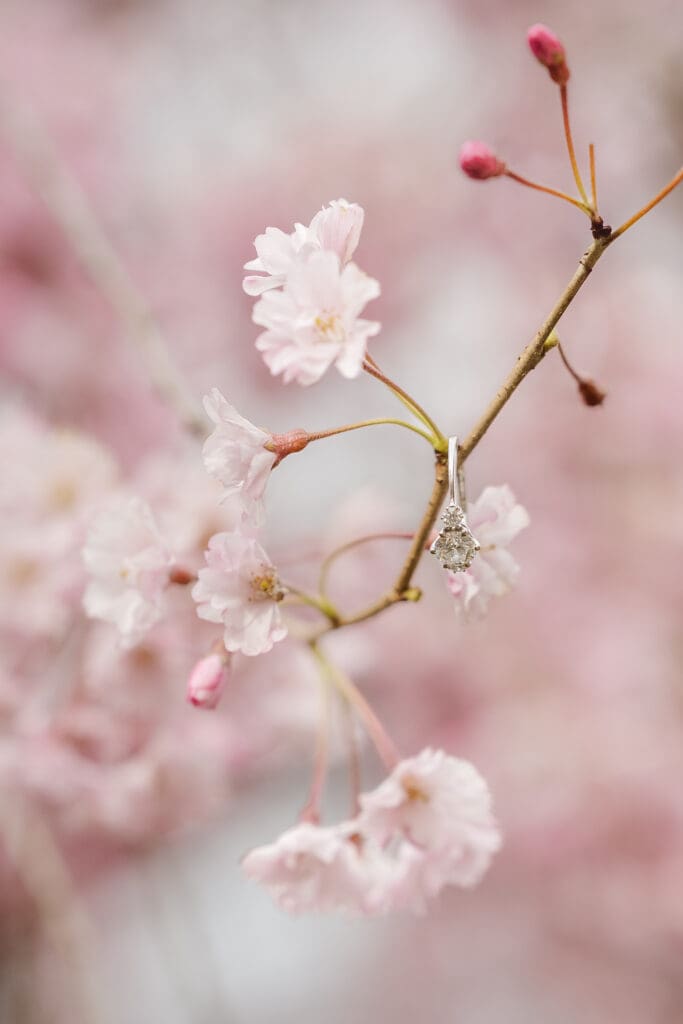 new-jersey-engagement-photos-with-cherry-blossoms-at-spring-branch-brook-park-suess-moments