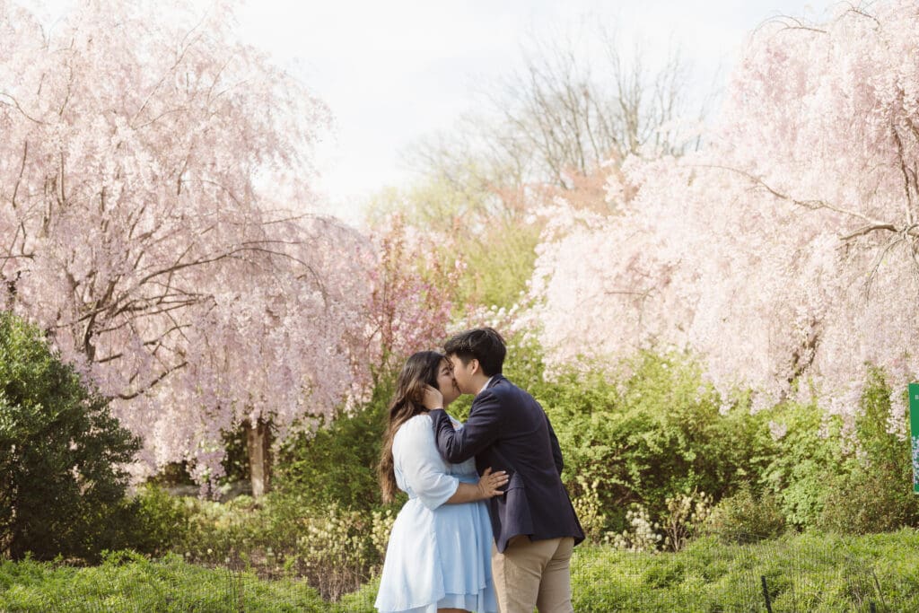branch-brook-park-proposal-with-cherry-blossoms-by-nj-photographer-suess-moments
