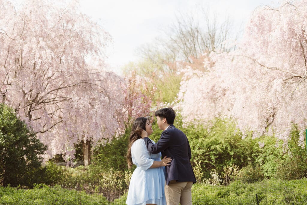 branch-brook-park-proposal-with-cherry-blossoms-by-nj-photographer-suess-moments