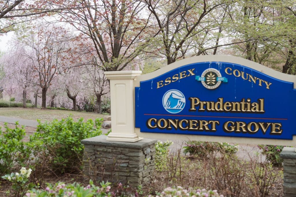 branch-brook-park-proposal-with-cherry-blossoms-by-nj-photographer-suess-moments
