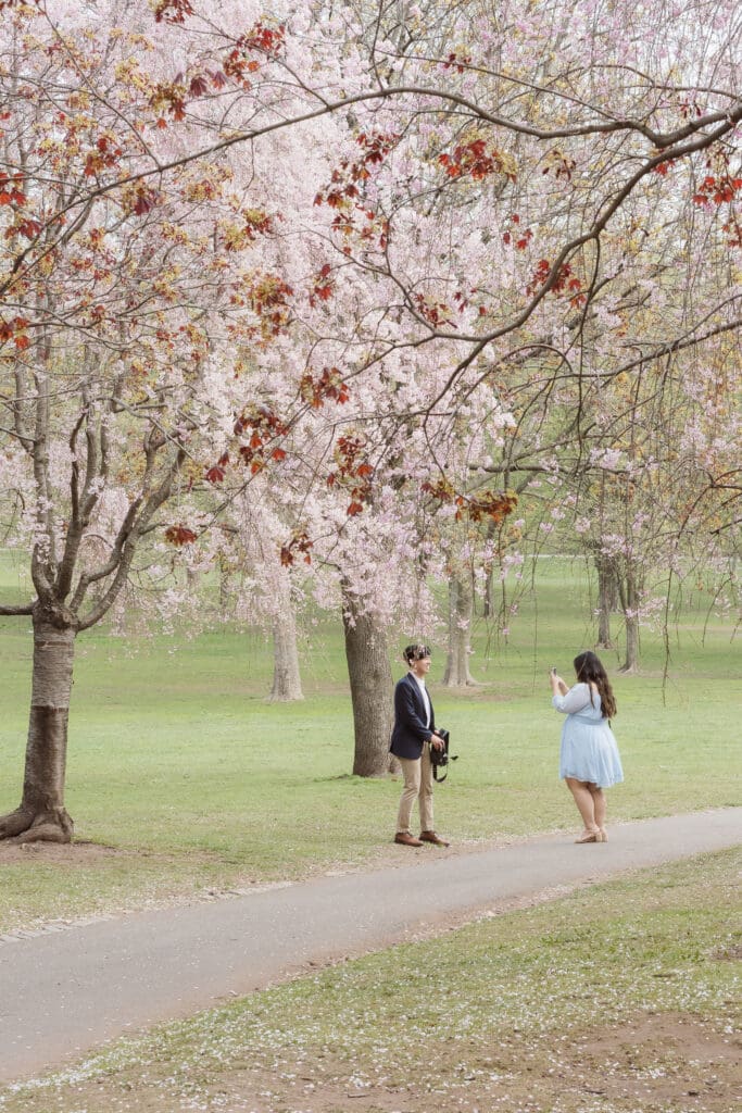 branch-brook-park-proposal-with-cherry-blossoms-by-nj-photographer-suess-moments