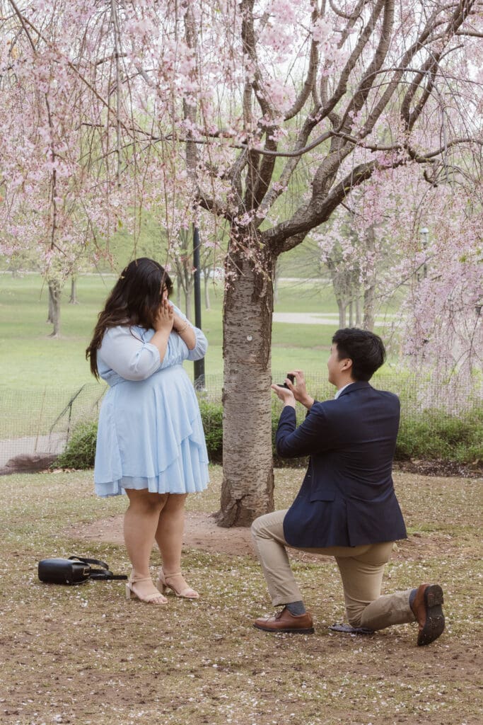 branch-brook-park-proposal-with-cherry-blossoms-by-nj-photographer-suess-moments