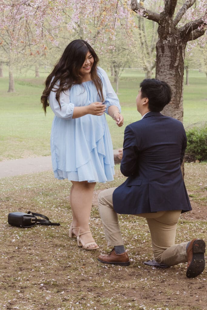branch-brook-park-proposal-with-cherry-blossoms-by-nj-photographer-suess-moments