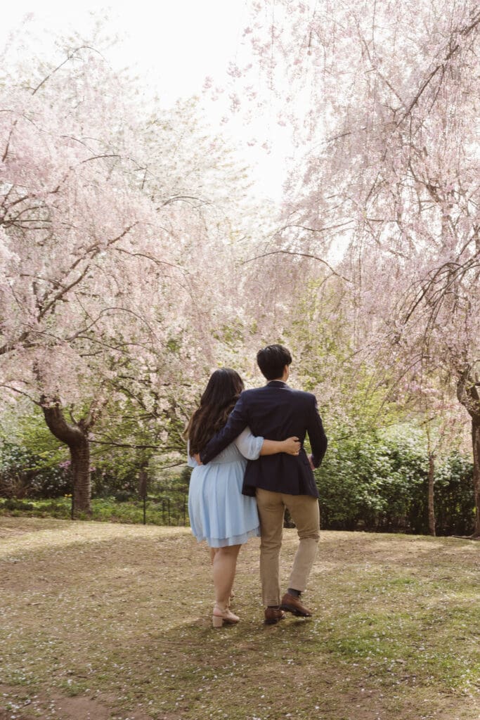 branch-brook-park-proposal-with-cherry-blossoms-by-nj-photographer-suess-moments