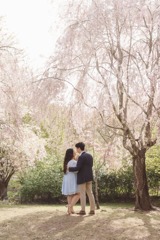 branch-brook-park-proposal-with-cherry-blossoms-by-nj-photographer-suess-moments