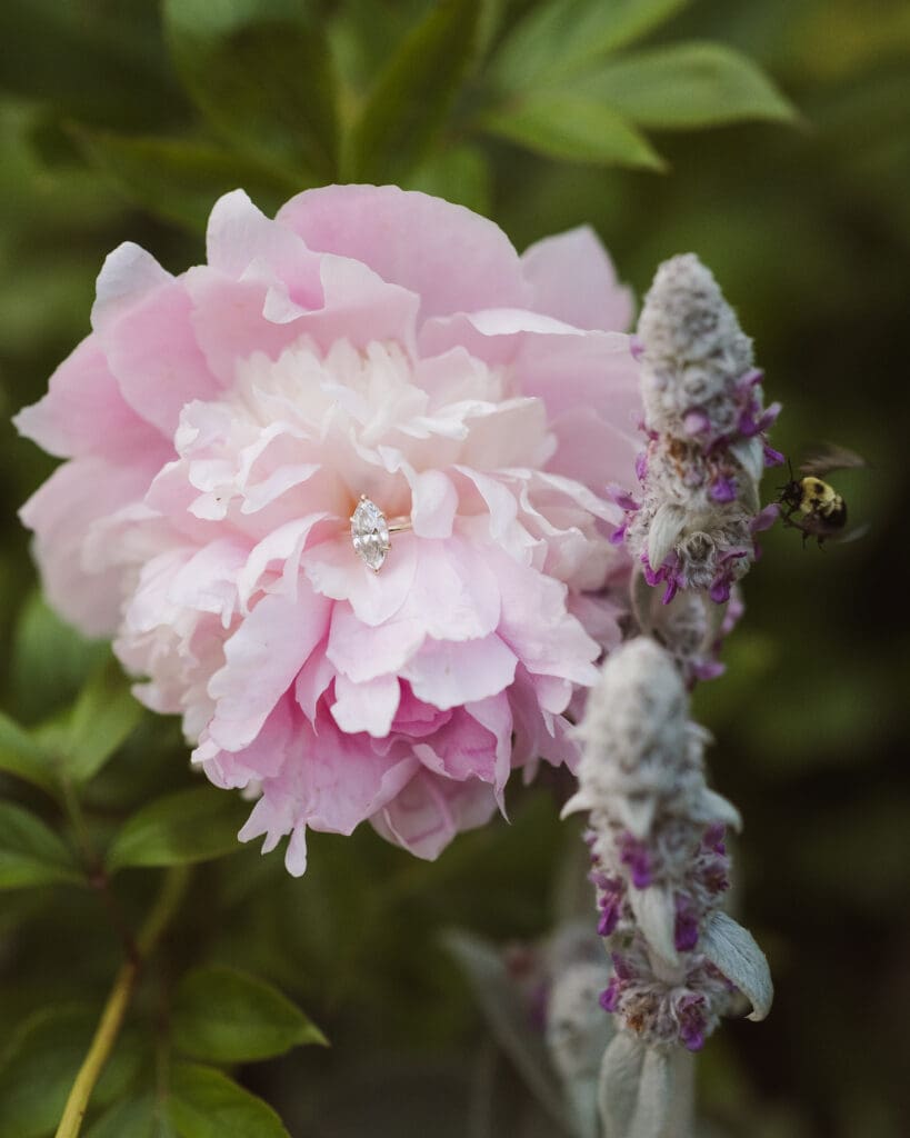 engagement ring photo with bee and flower