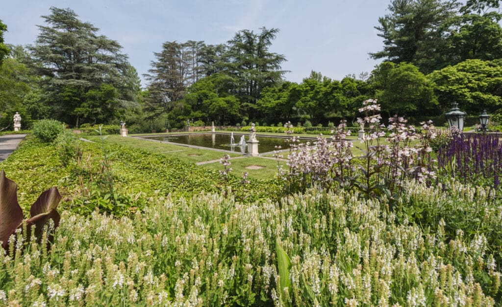 the reflection pond for wedding photos at the best venue in NJ: Jasna Polana