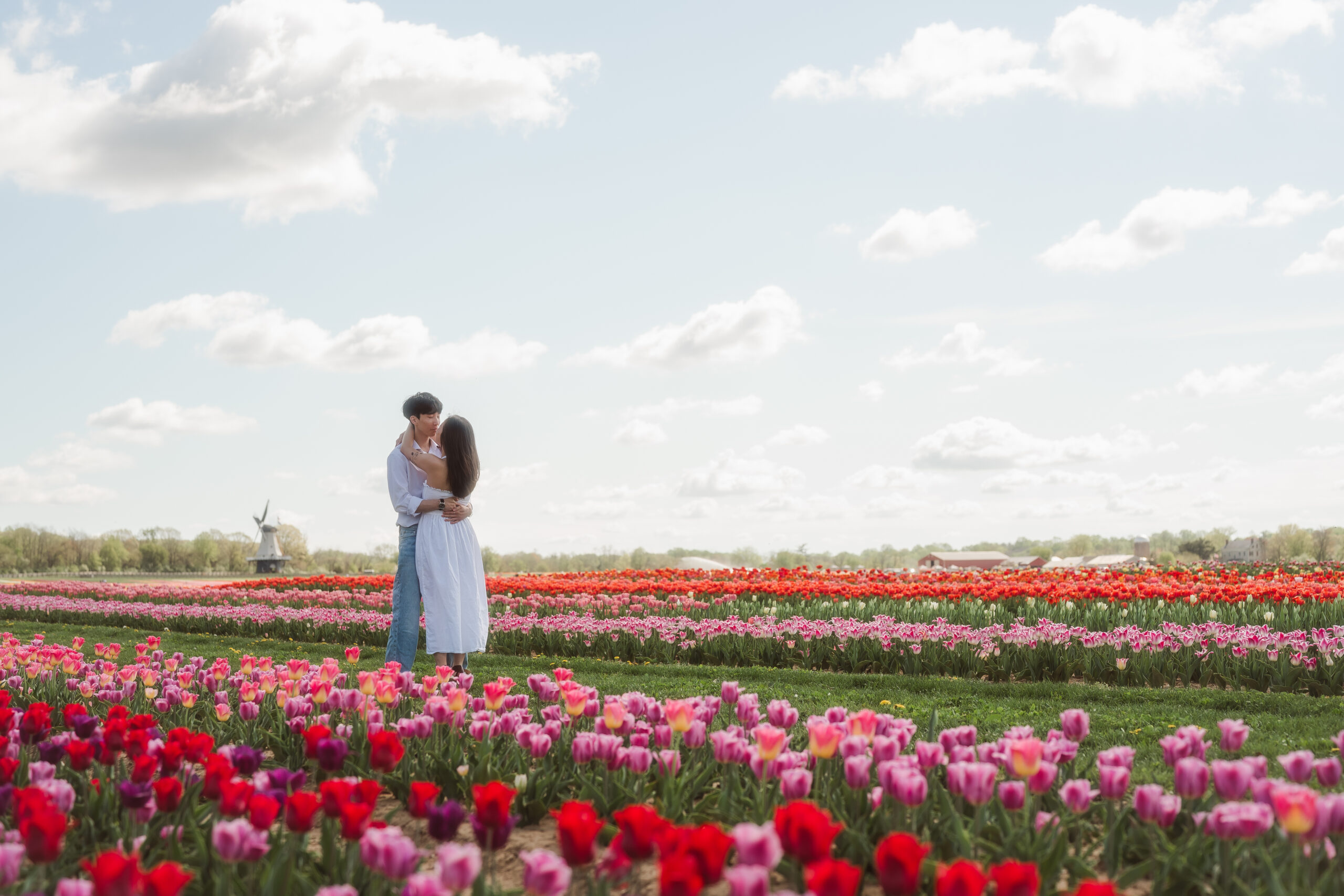 holland ridge farms proposal and engagement photos with tulips in new jersey