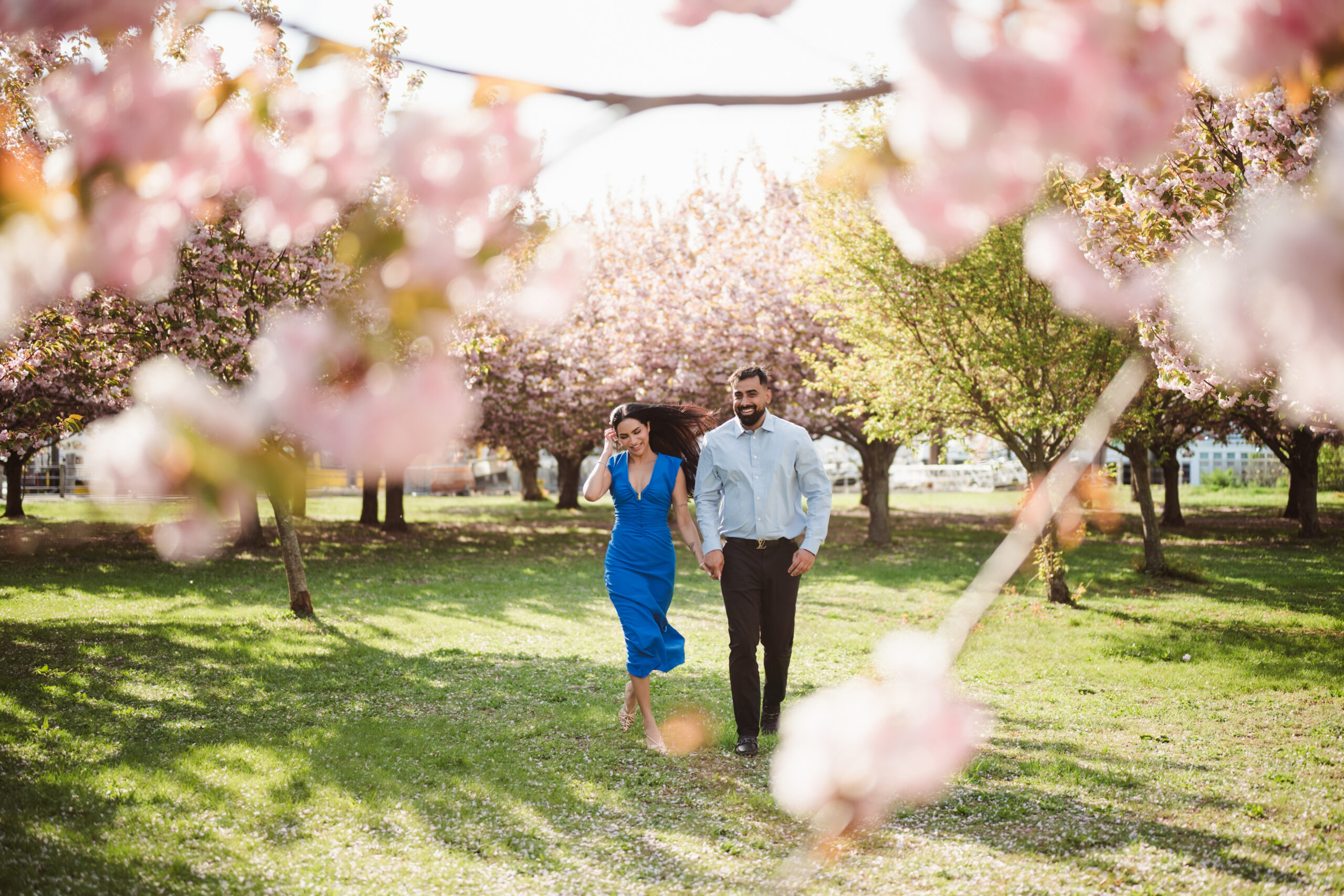cherry blossoms in new jersey at liberty state park