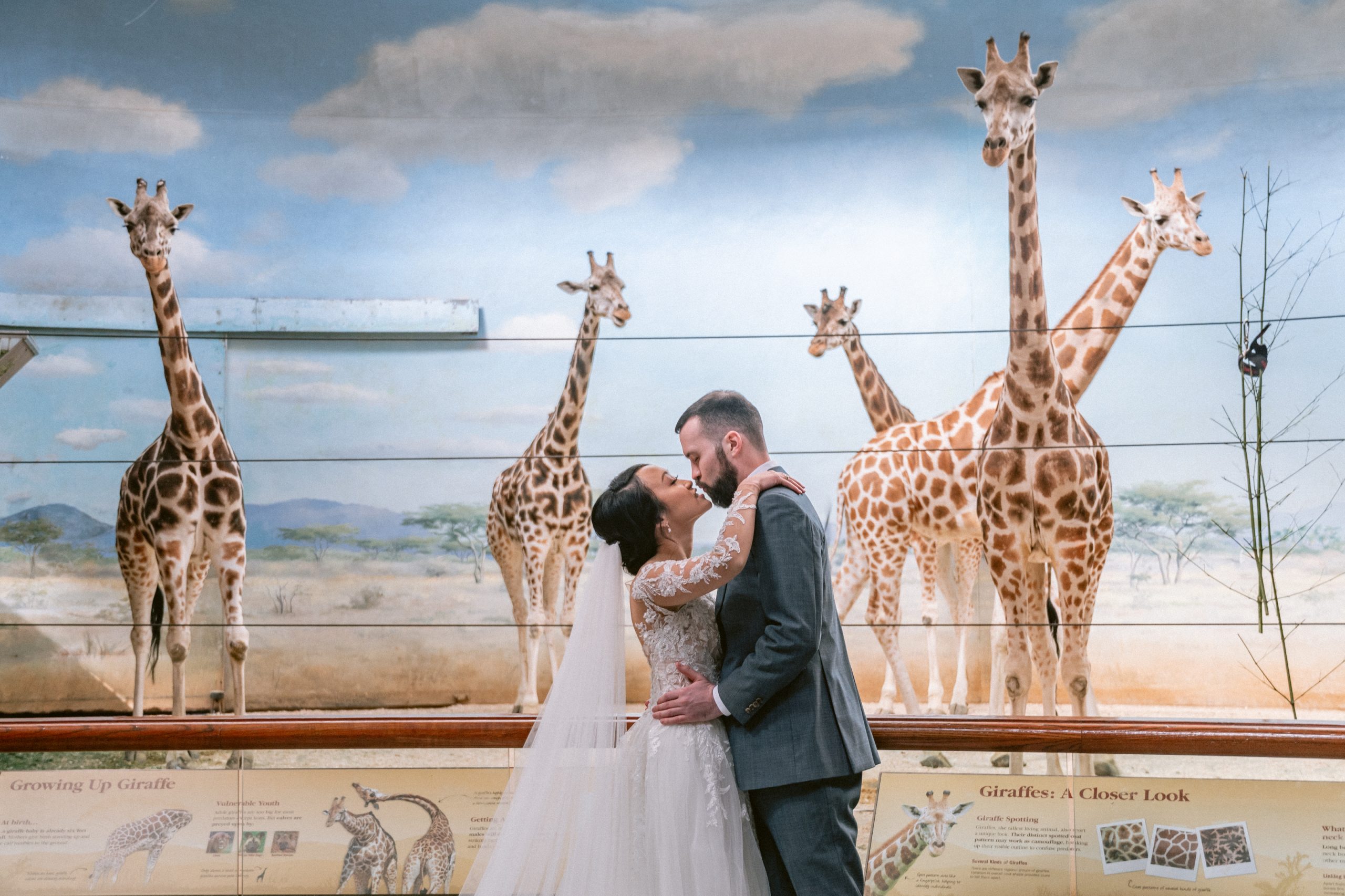 giraffe-exhibit-wedding-bronx-zoo-photography-suessmoments