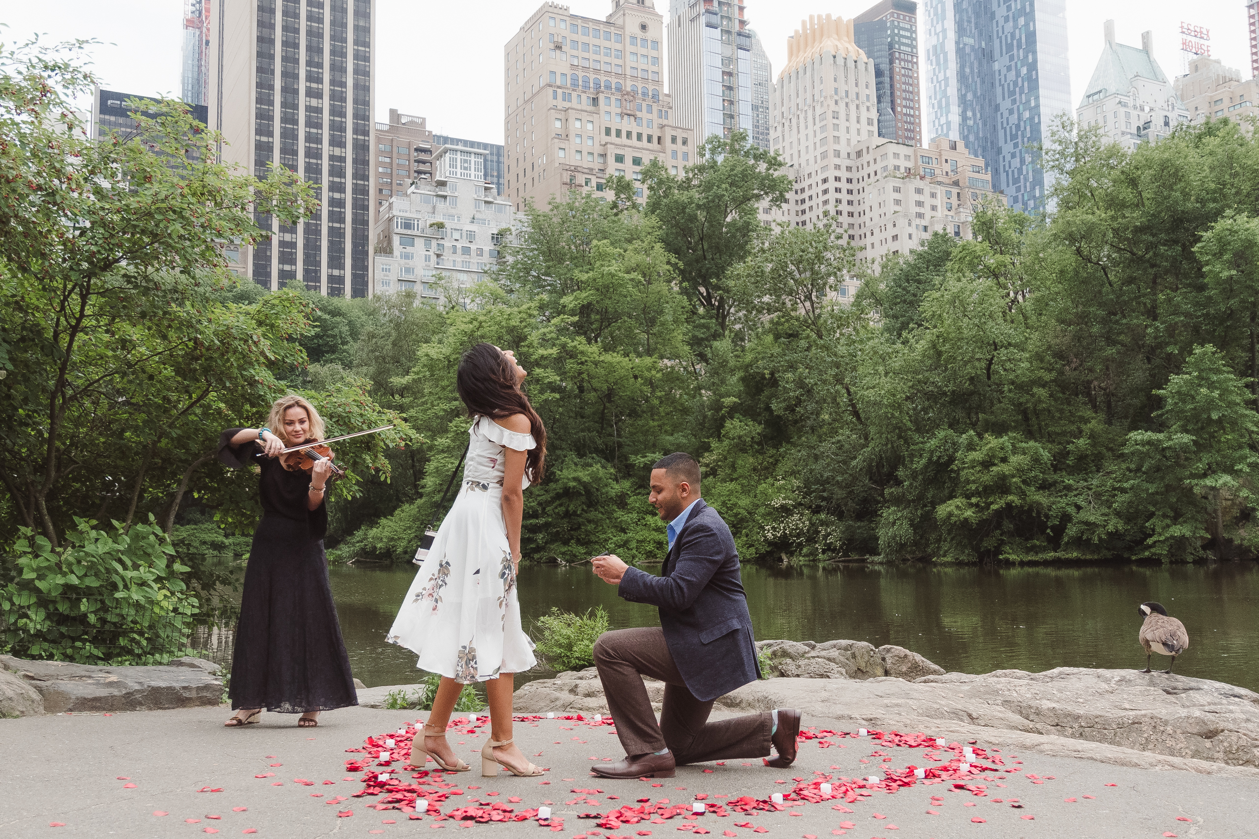central-park-bethesda-terrace-nyc-engagement-photos-by-suess-moments-photography