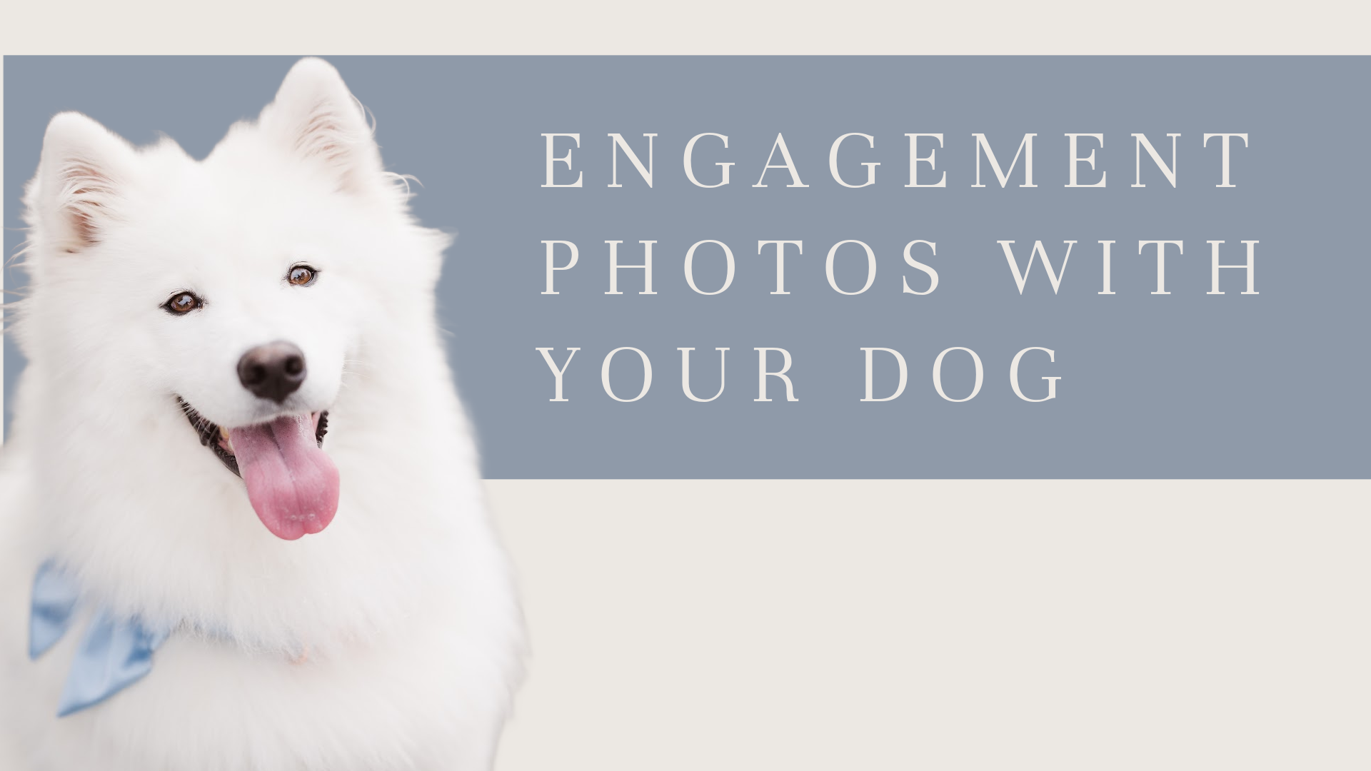 prepare-for-engagement-photos-with-your-dog